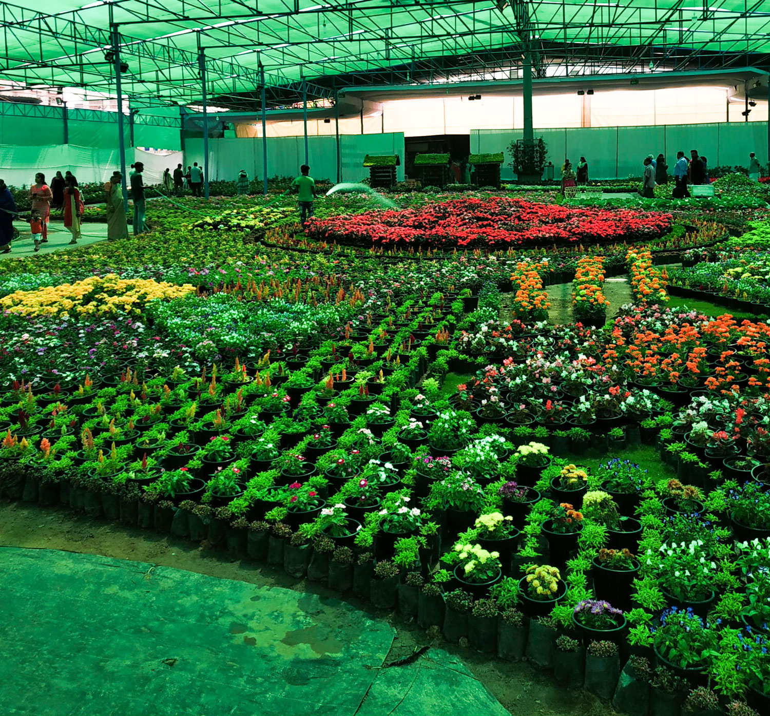  37th Cochin Flower Show