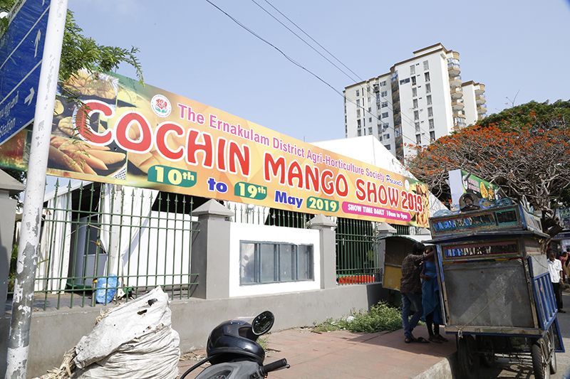  Cochin Mango Show